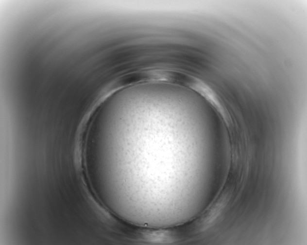 X0000089450851200706221246