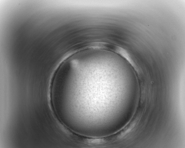 X0000089450853200706221246