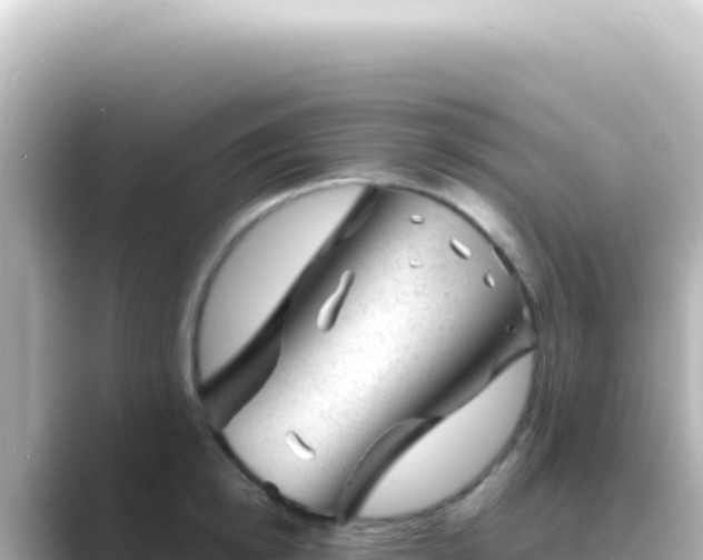 X0000089450854200706221246