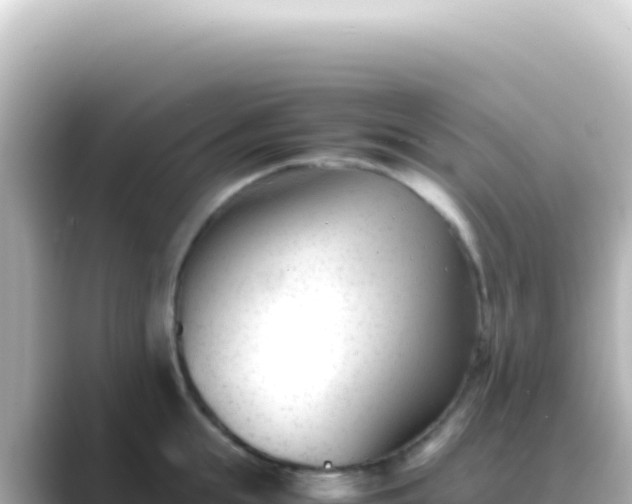 X0000089450855200706221246