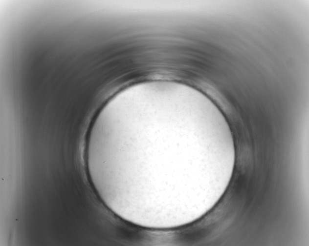 X0000089450856200706221246