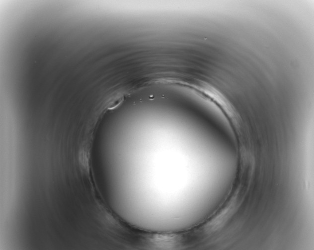 X0000089450857200706221246