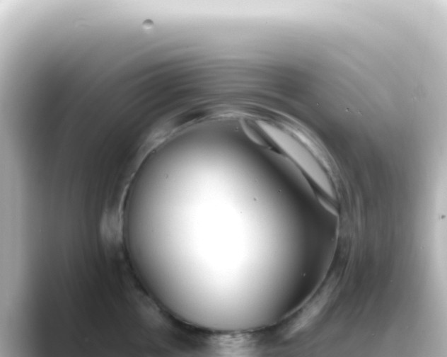 X0000089450858200706221246