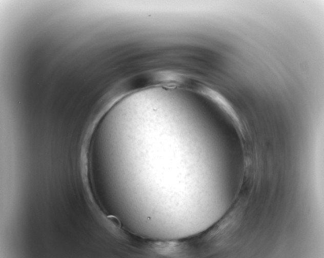 X0000089450859200706221246