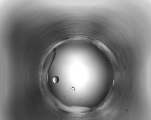 X0000089450860200706221246