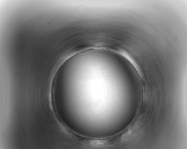 X0000089450861200706221246