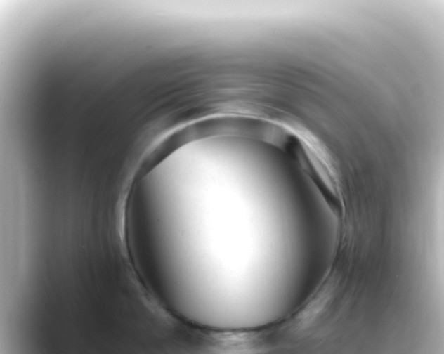 X0000089450862200706221246