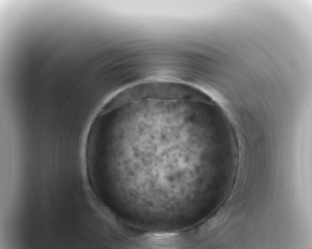 X0000089450864200706221246
