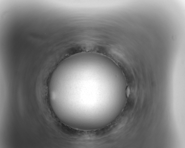 X0000089450865200706221245
