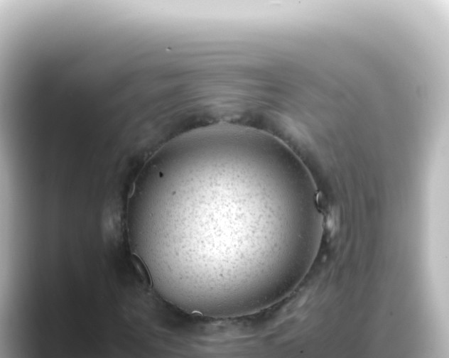 X0000089450867200706221245