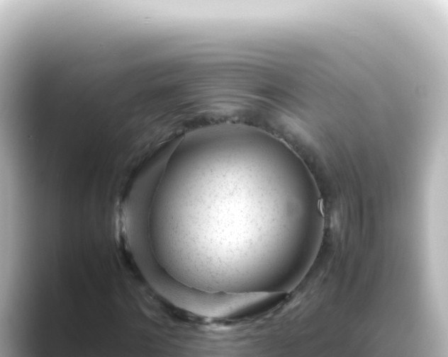 X0000089450868200706221245