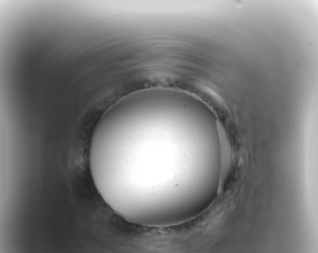 X0000089450869200706221245