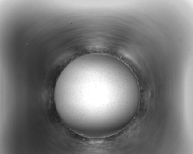 X0000089450870200706221245