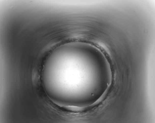 X0000089450872200706221245