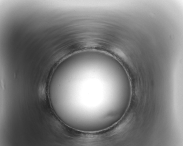 X0000089450873200706221245
