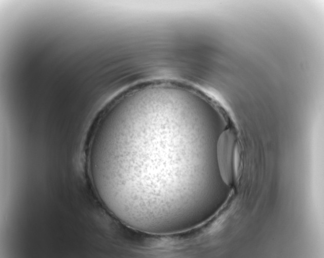 X0000089450879200706221245