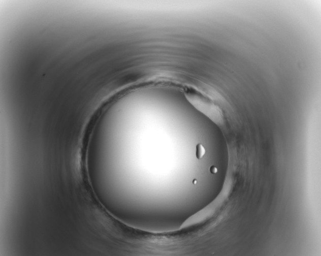X0000089450880200706221245