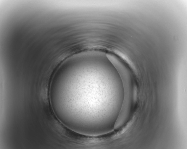 X0000089450881200706221245