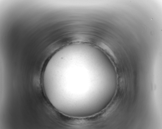X0000089450882200706221245