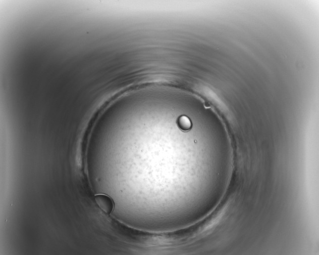 X0000089450883200706221245
