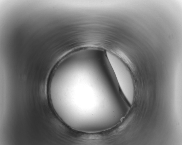 X0000089450884200706221245