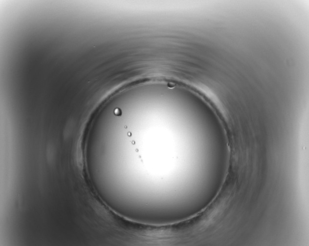 X0000089450887200706221245