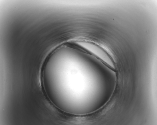 X0000089450888200706221245