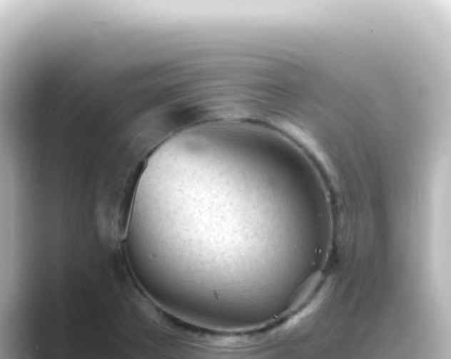 X0000089450889200706221245