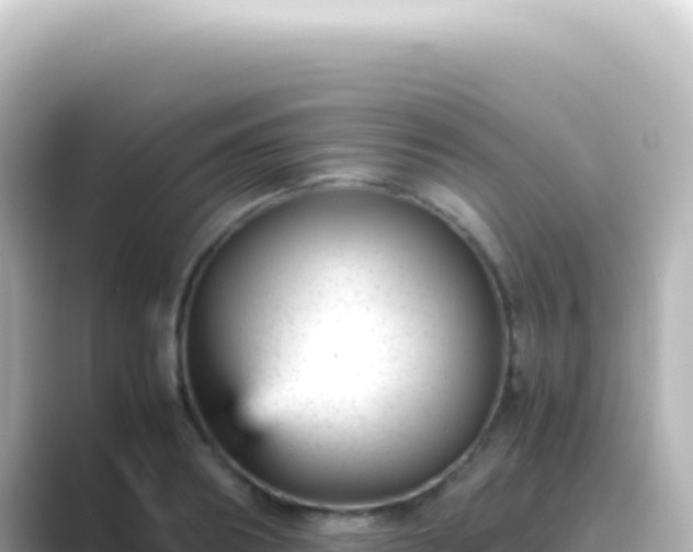 X0000089450890200706221245