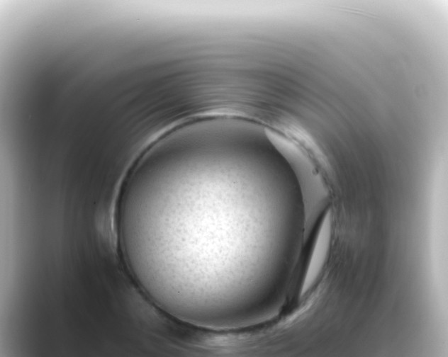 X0000089450892200706221245