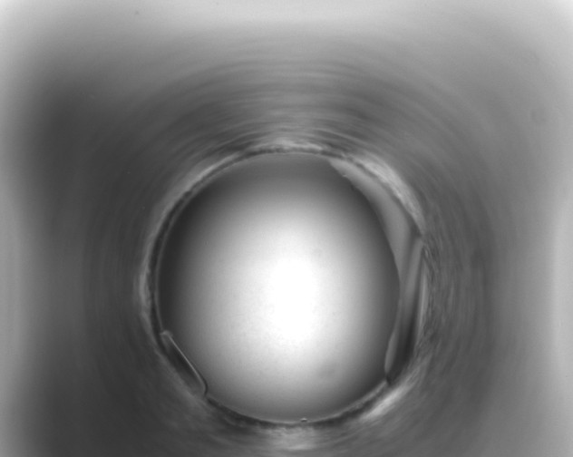X0000089450893200706221245