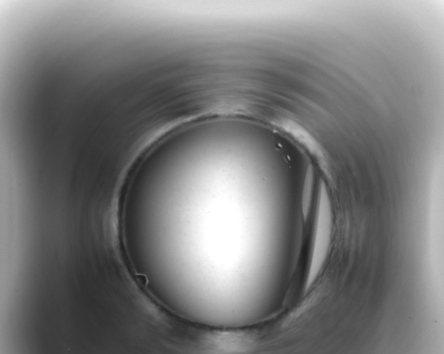 X0000089450894200706221245