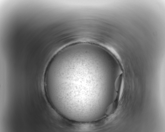 X0000089450895200706221245