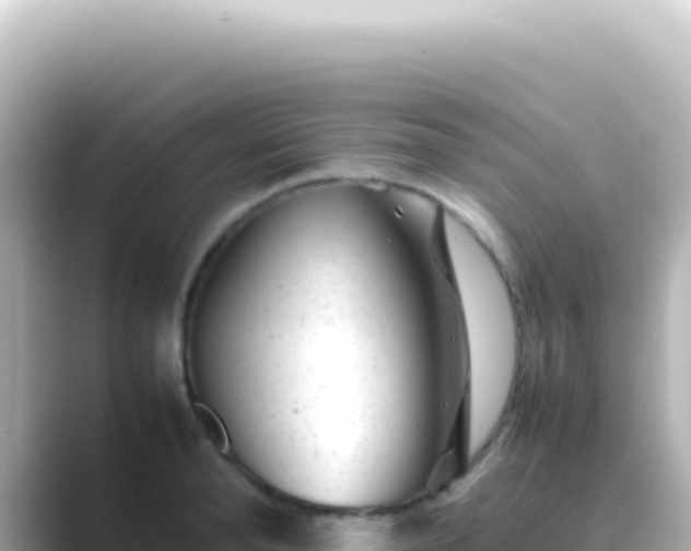 X0000089450896200706221245