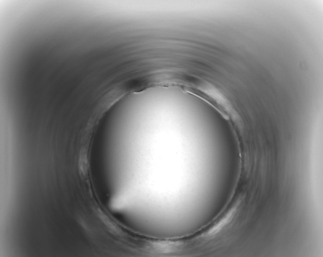 X0000089450897200706221245