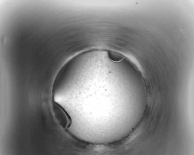 X0000089450903200706221245