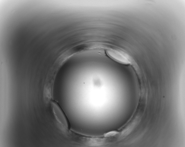 X0000089450905200706221245