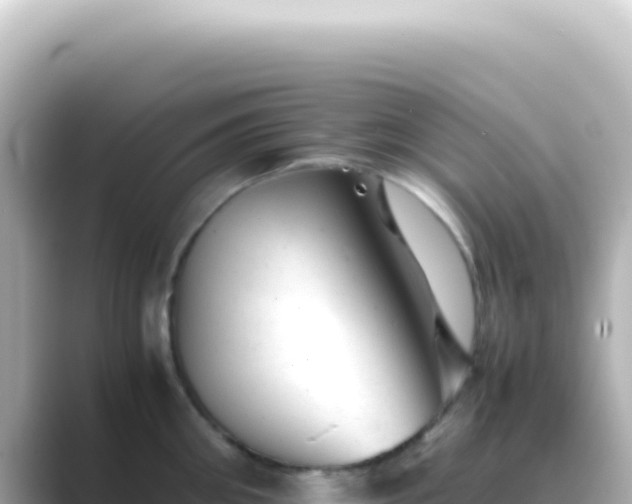 X0000089450906200706221245
