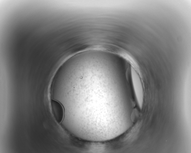 X0000089450907200706221245
