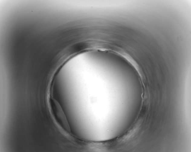 X0000089450909200706221245