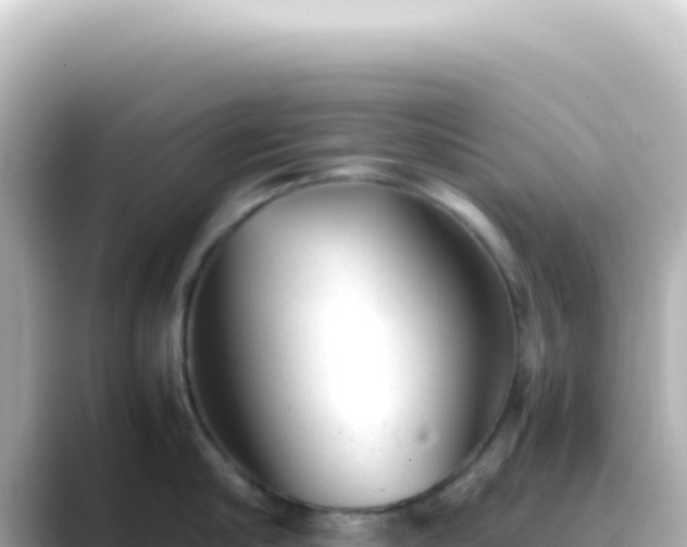 X0000089450910200706221245