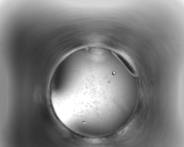 X0000089450911200706221245