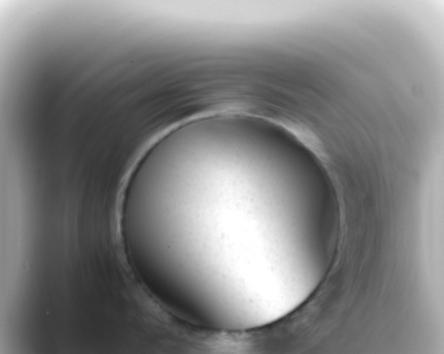X0000089450912200706221245