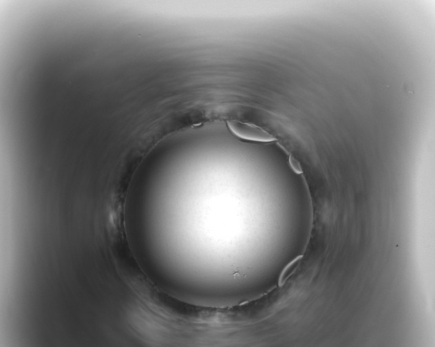 X0000089450914200706221244
