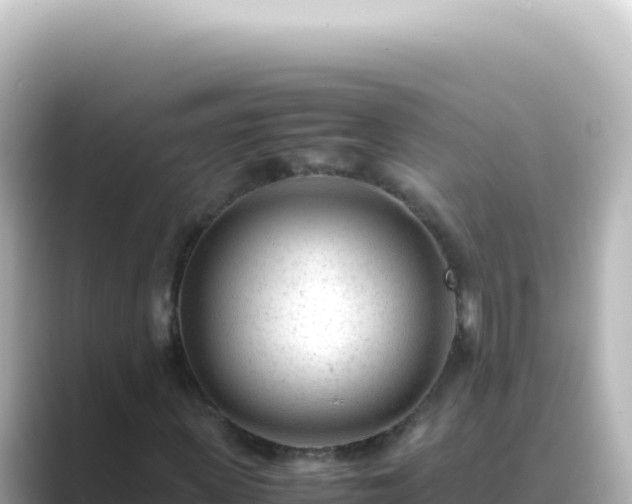 X0000089450915200706221244