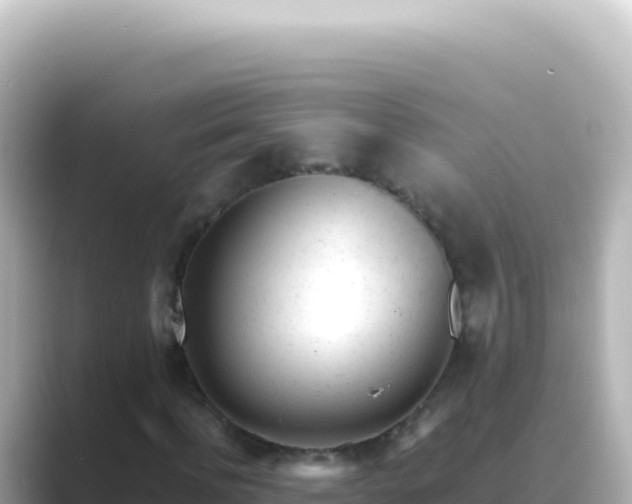 X0000089450916200706221244