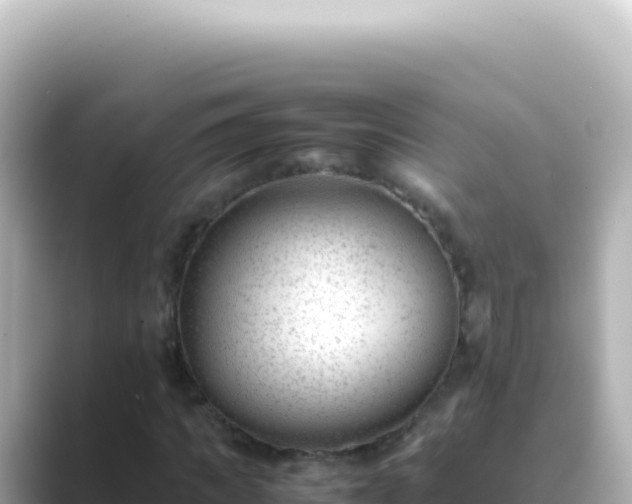 X0000089450917200706221244