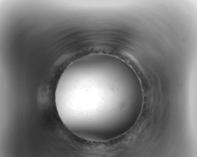 X0000089450919200706221244
