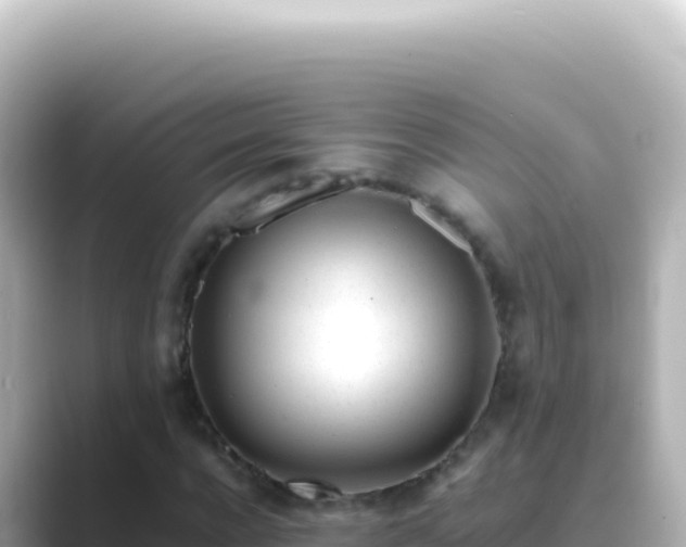 X0000089450920200706221244
