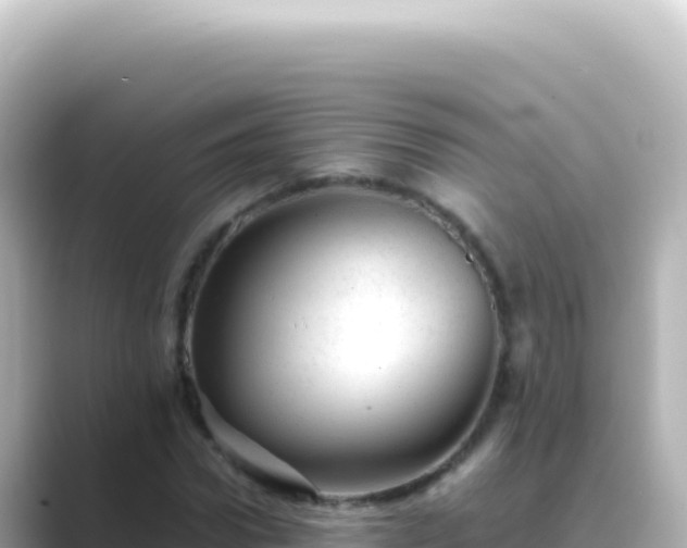 X0000089450922200706221244